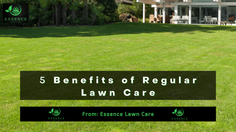 lawn care services lawn care company lawn care near me lawn care for seniors mowing services mowing company mowing company near me mowing services for seniors mowing service Olathe mowing service overland park mowing services kansas city mowing service kansas city